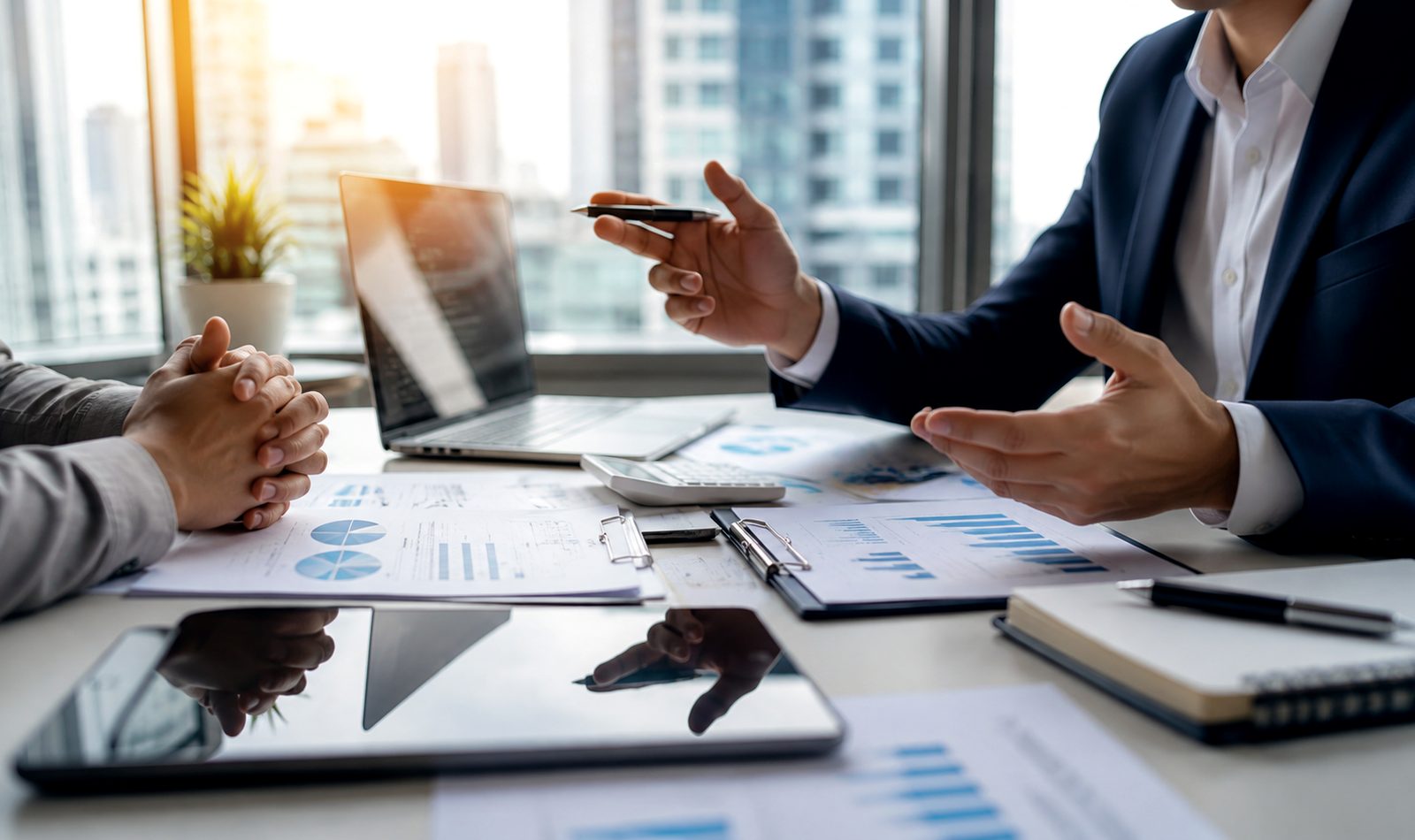 New Business Setup & Consultation